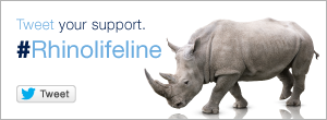 Investec Rhino Lifeline banner