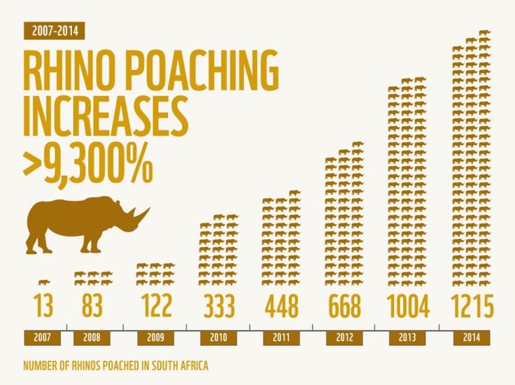 An infographic displaying the number of rhino deaths between 2007 and 2014